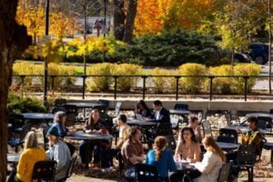 bpam_careers-300x200